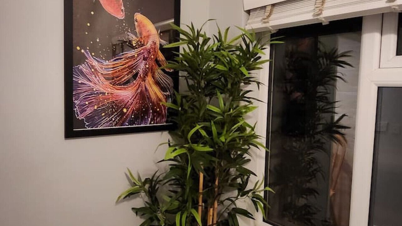 Photo of Others in Coventry