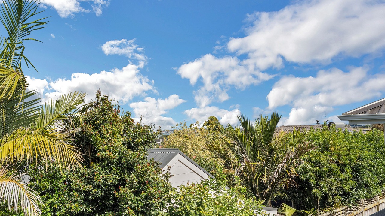 Photo of Others in Takapuna