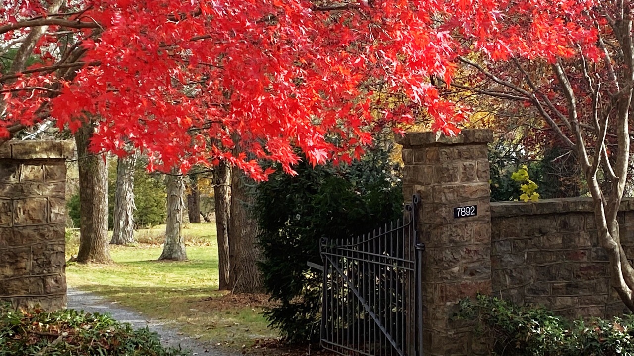 Photo of Outdoor in Craig Creek