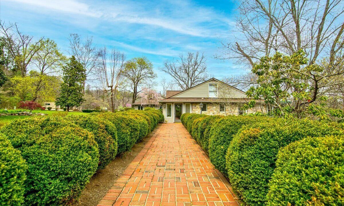 Photo of Outdoor in Craig Creek