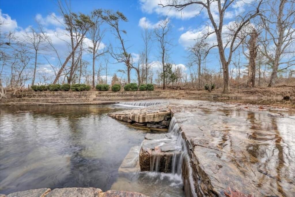 Photo of Others in Craig Creek