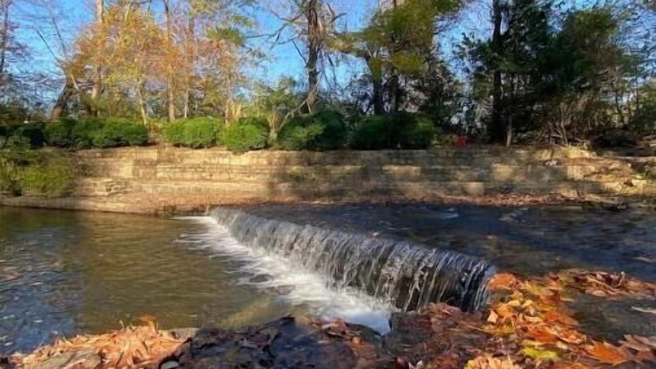 Photo of Others in Craig Creek