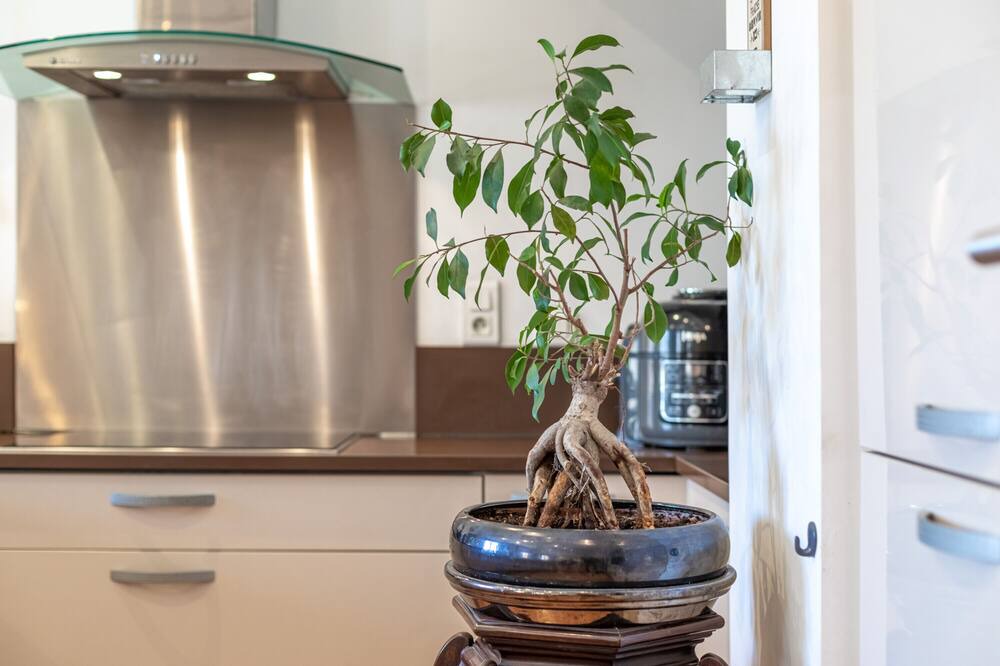 Photo of Kitchen in Le Boulou