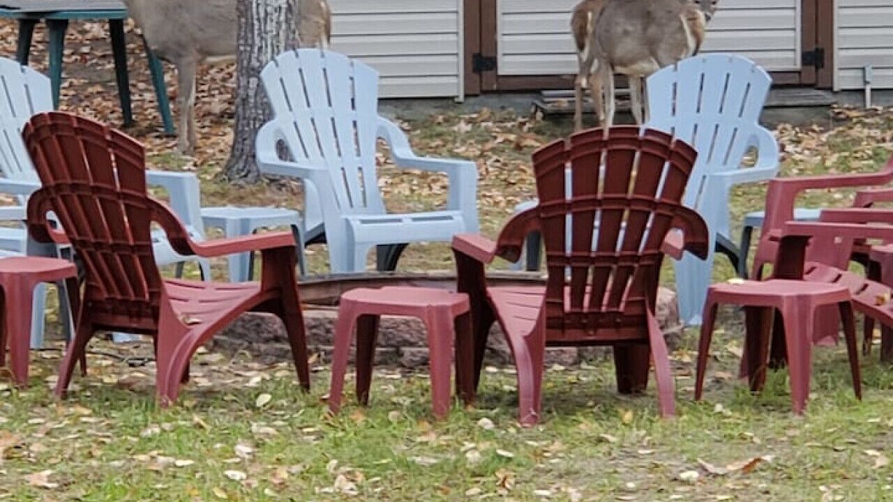 Photo of Outdoor in Boyne City