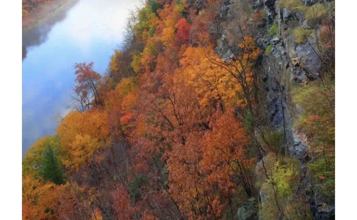 Photo of Outdoor in Sparrow Bush
