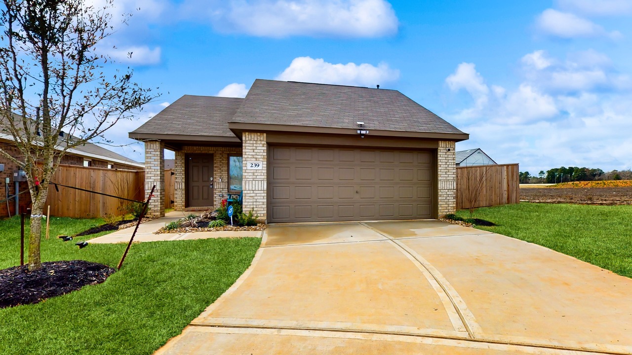 Photo of Outdoor in Willis
