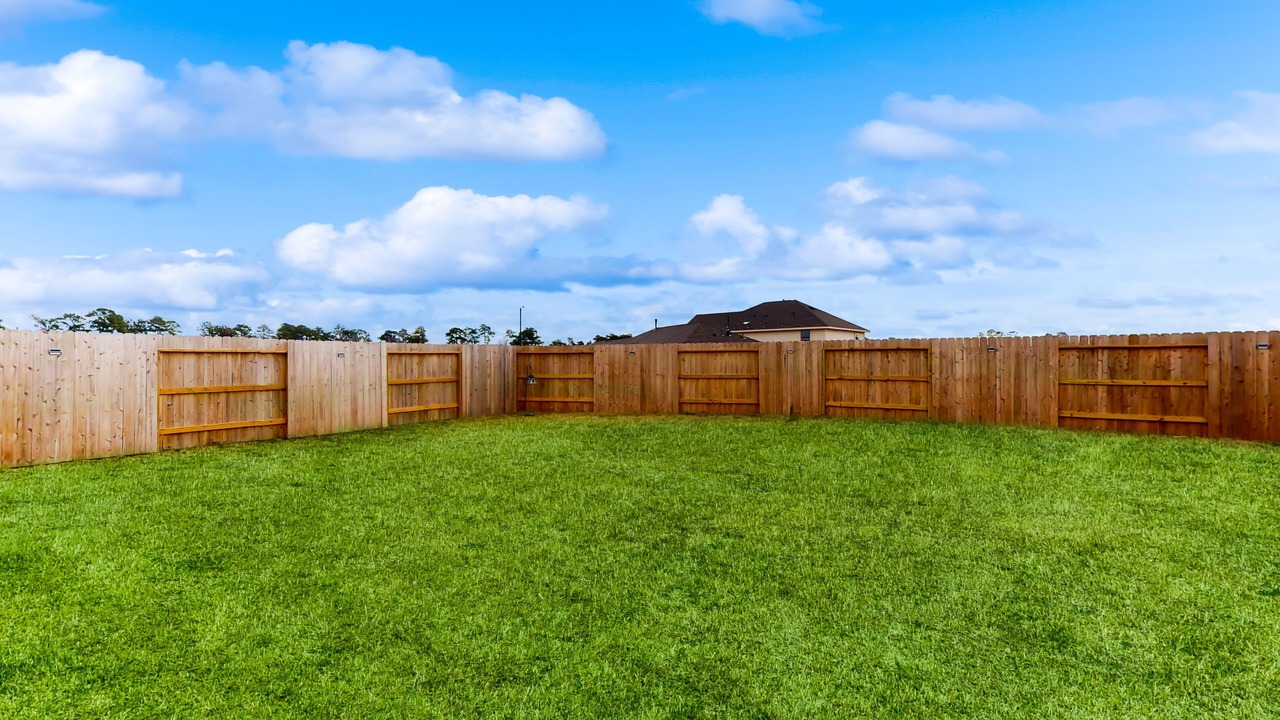 Photo of Outdoor in Willis