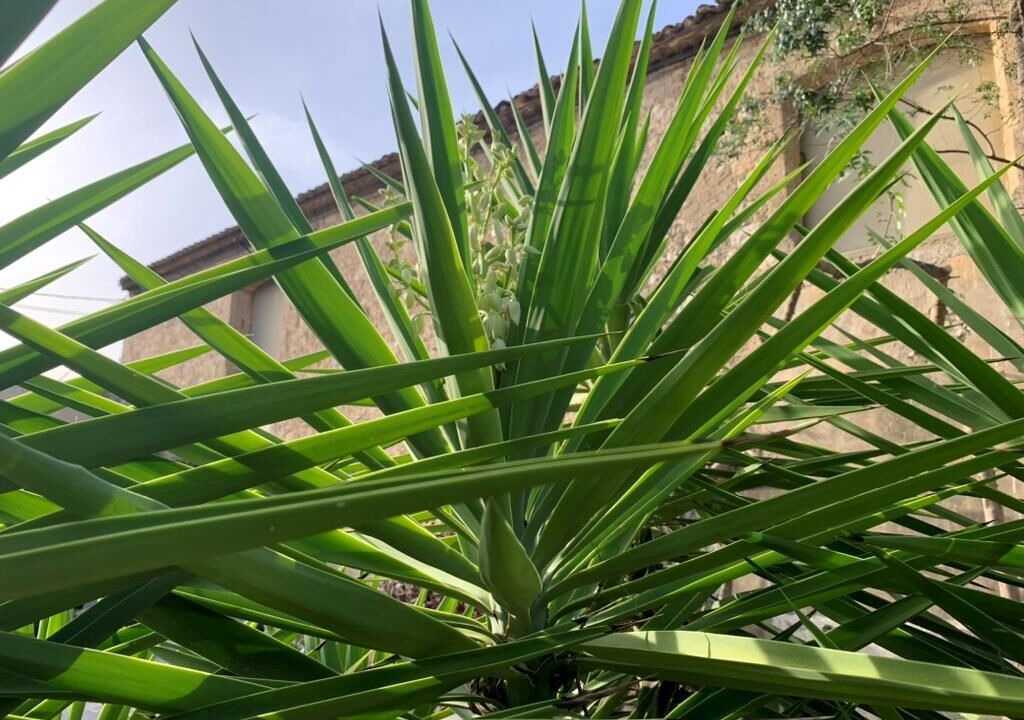 Photo of Others in Coursan