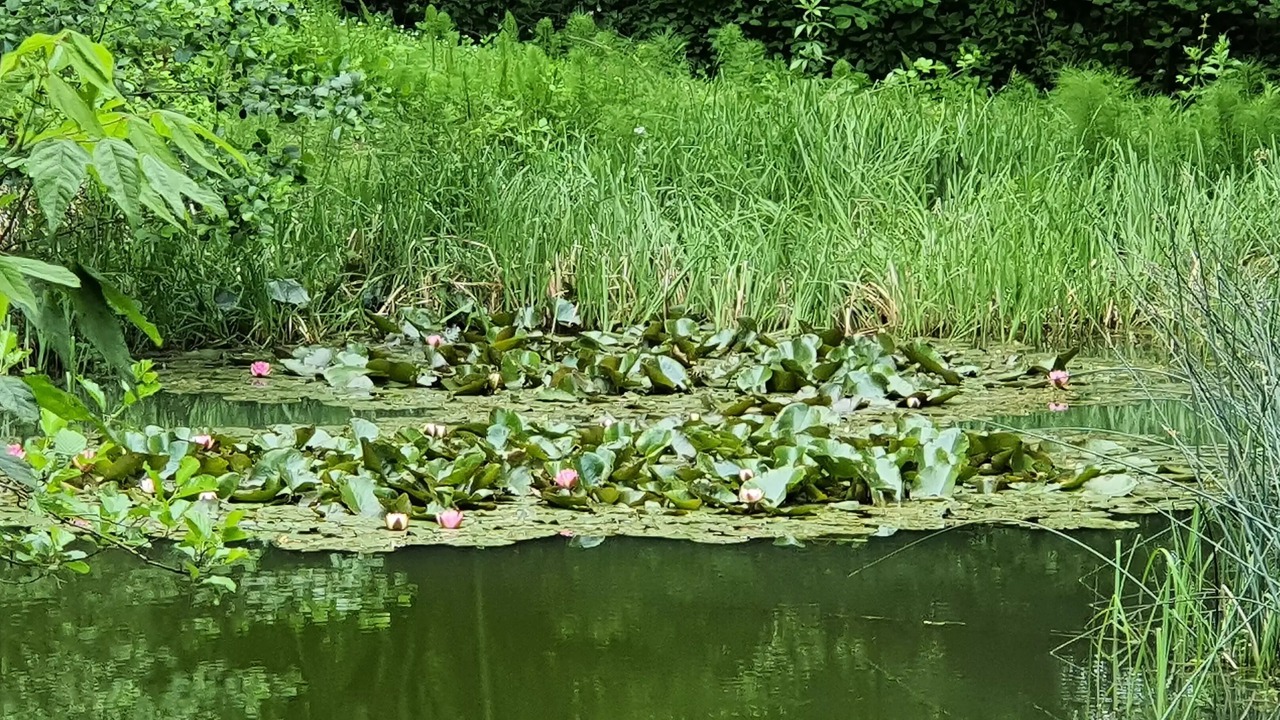 Photo of Outdoor in Gaugeac
