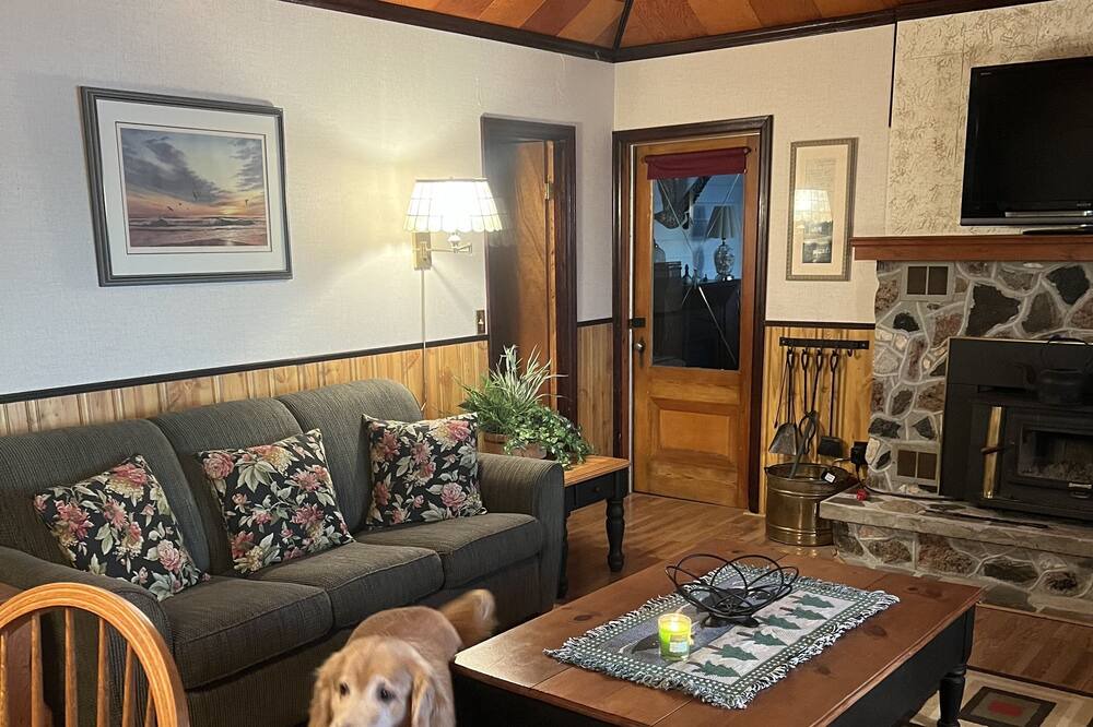 Photo of Livingroom in Lake St. Peter