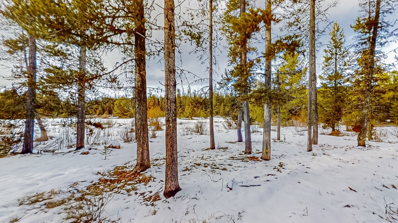 Photo of Others in Crescent