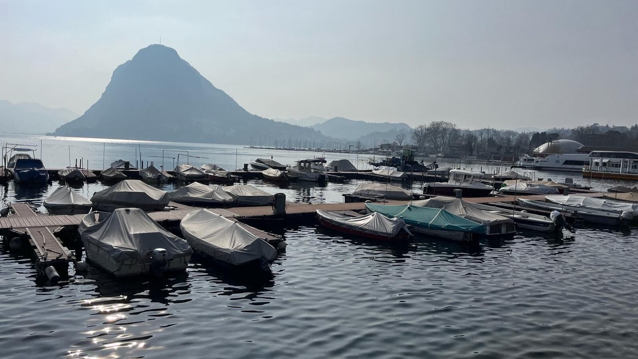 Photo of Others in Viganello