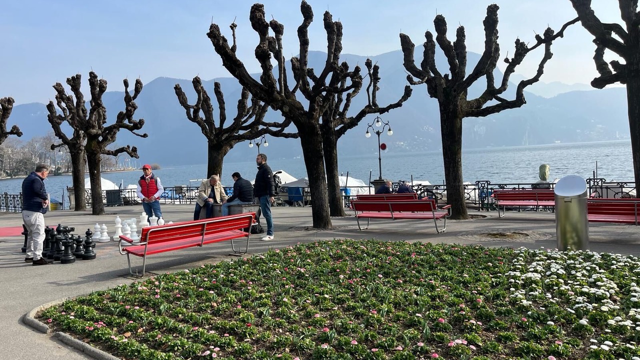 Photo of Outdoor in Viganello