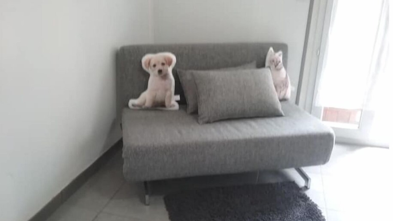 Photo of Others in Miplaine