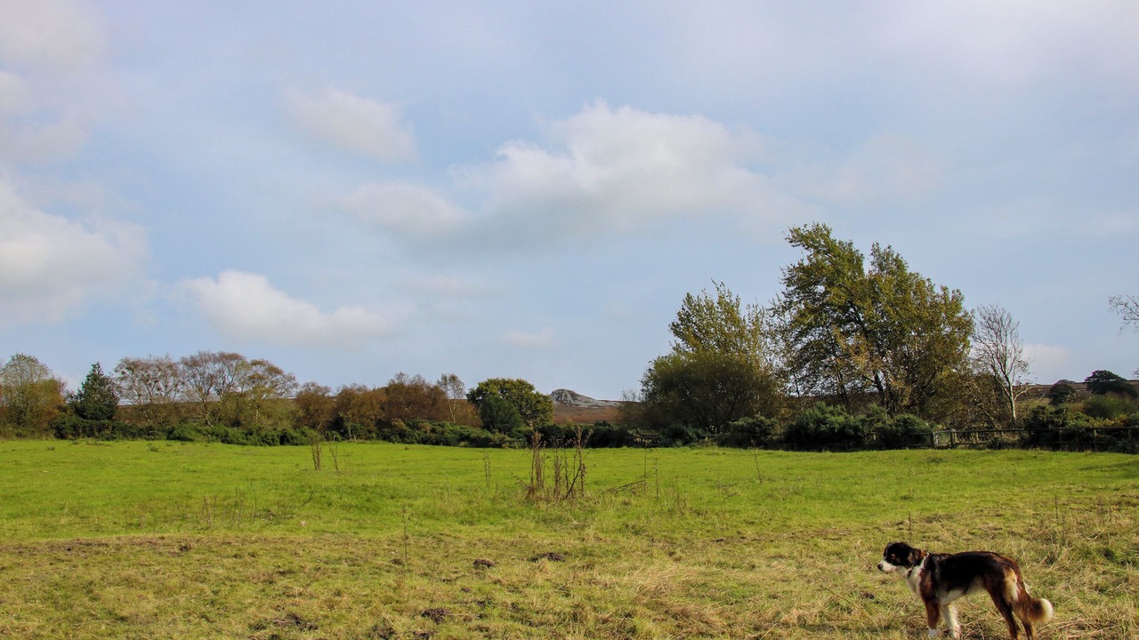 Photo of Others in Pontesbury