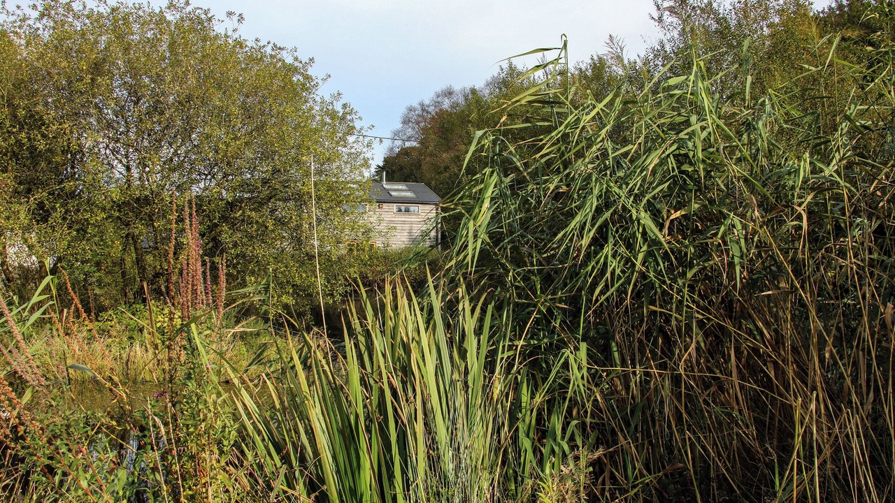 Photo of Others in Pontesbury