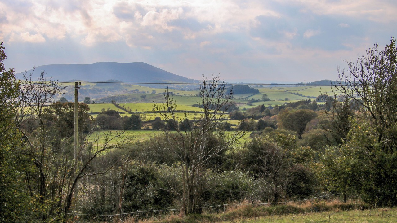 Photo of Others in Pontesbury