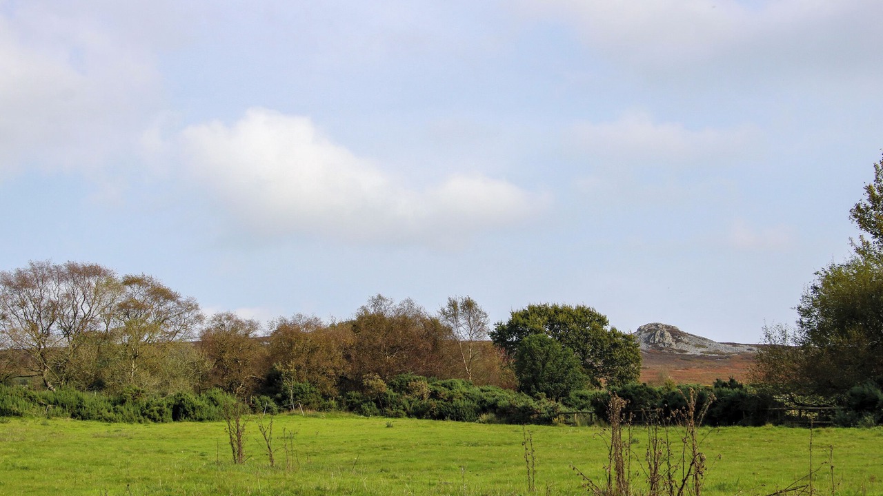 Photo of Others in Pontesbury