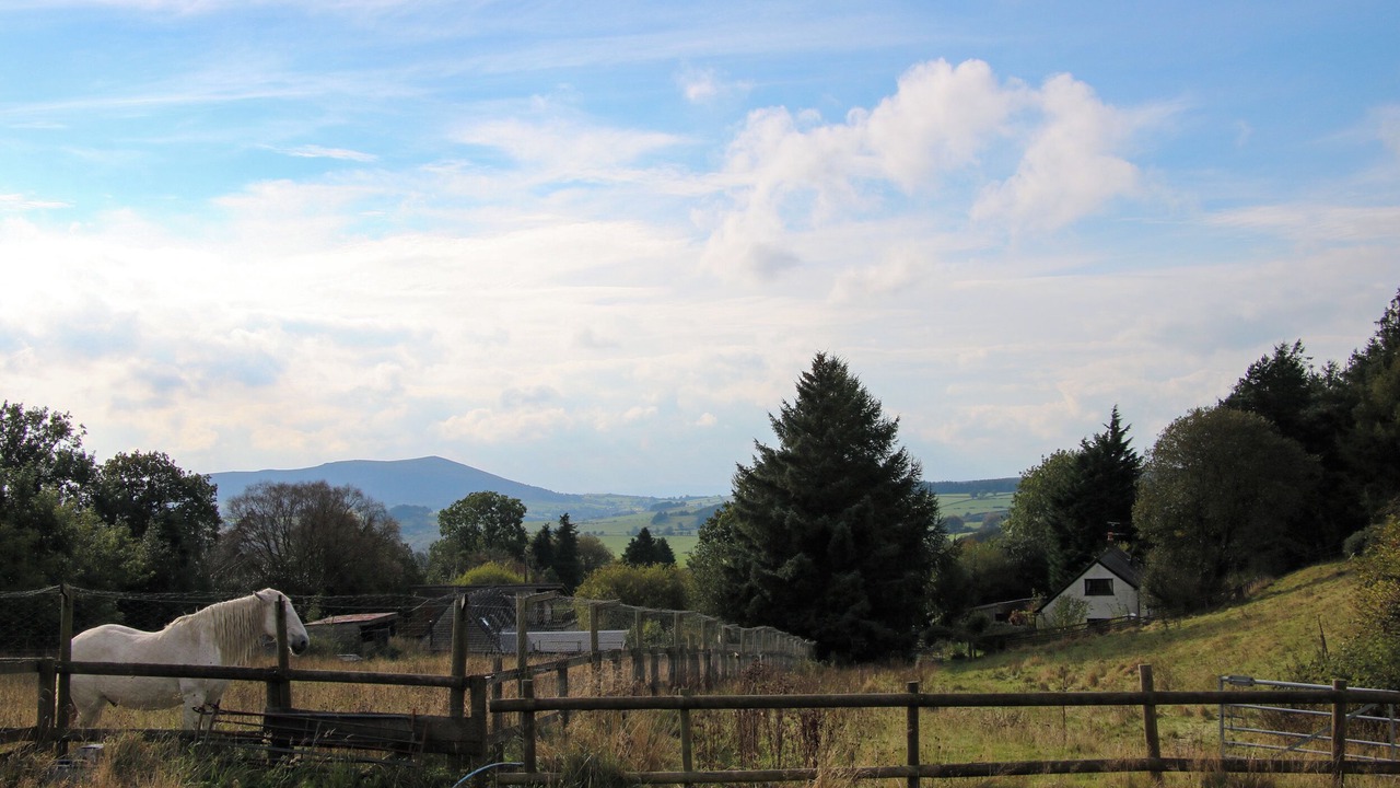 Photo of Others in Pontesbury