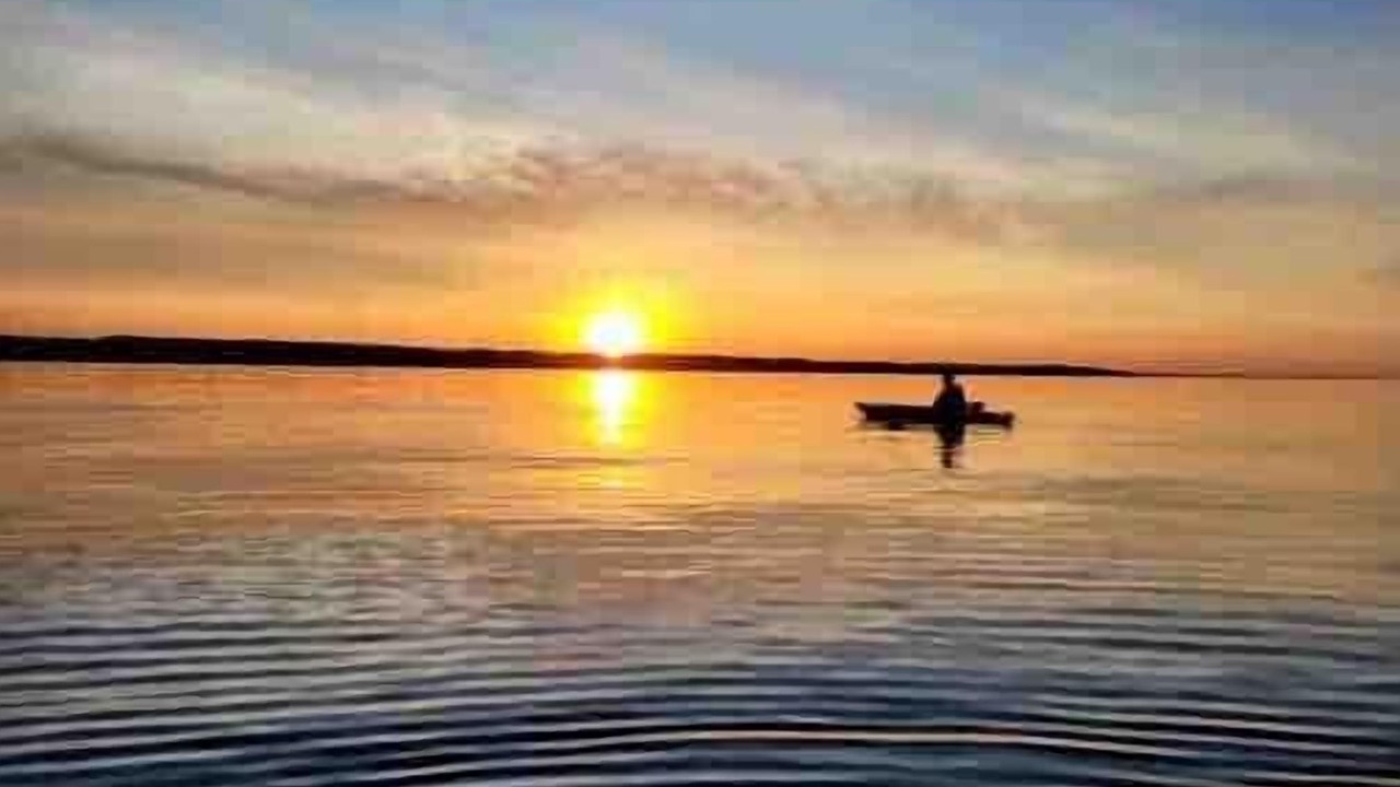 Photo of Others in Lodi