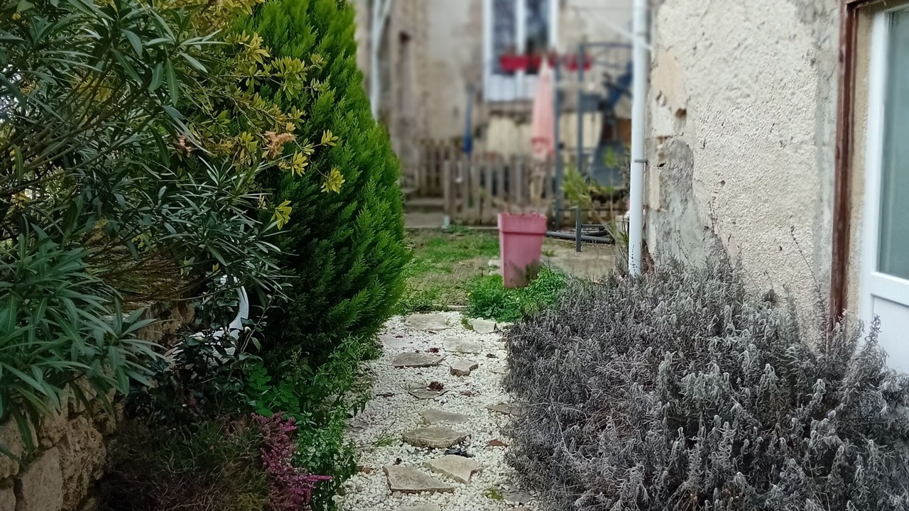 Photo of Outdoor in Mezin