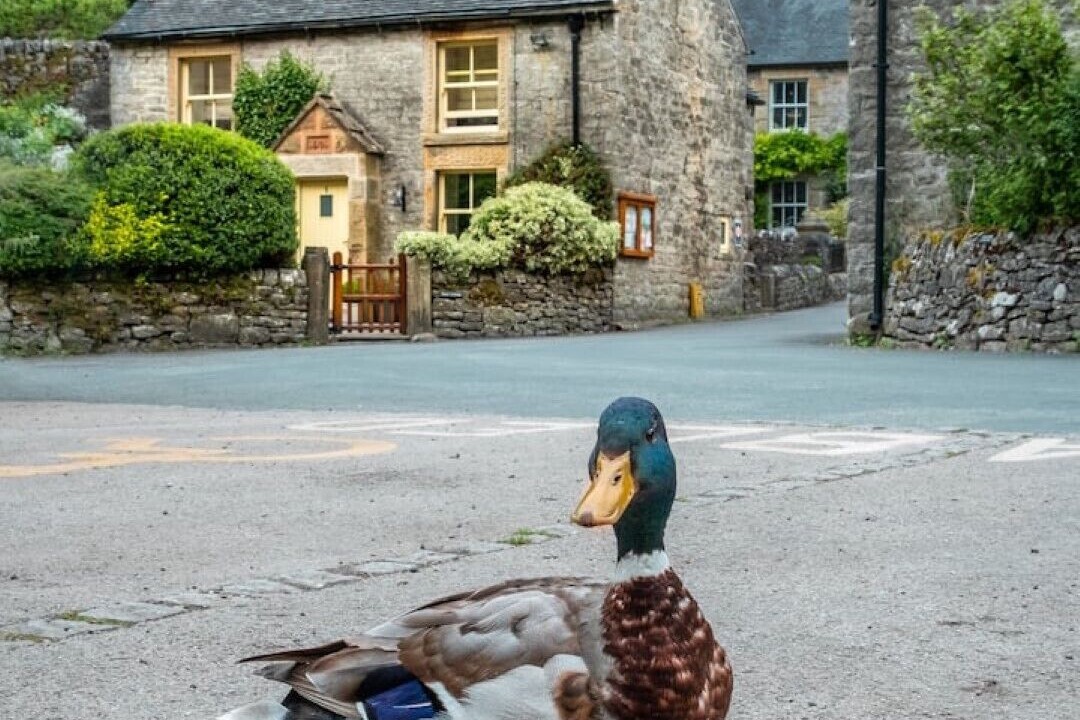 Photo of Others in Alstonfield