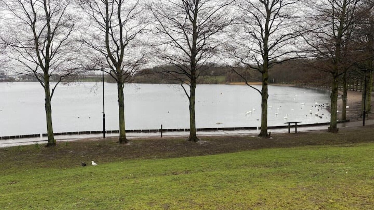 Photo of Others in Doncaster