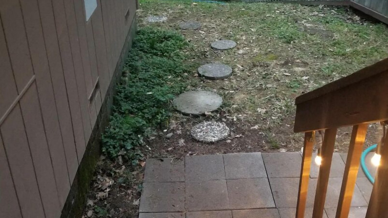 Photo of Outdoor in Willow Creek