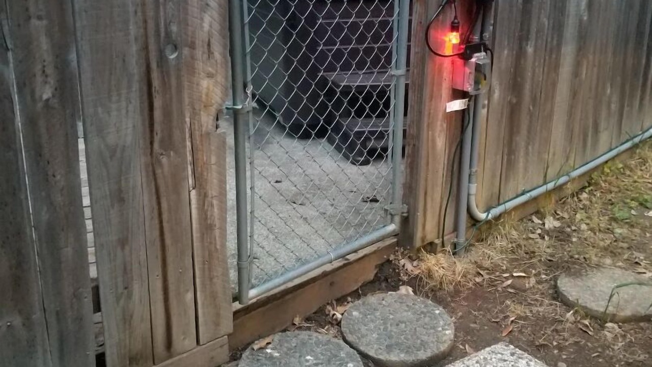 Photo of Others in Willow Creek