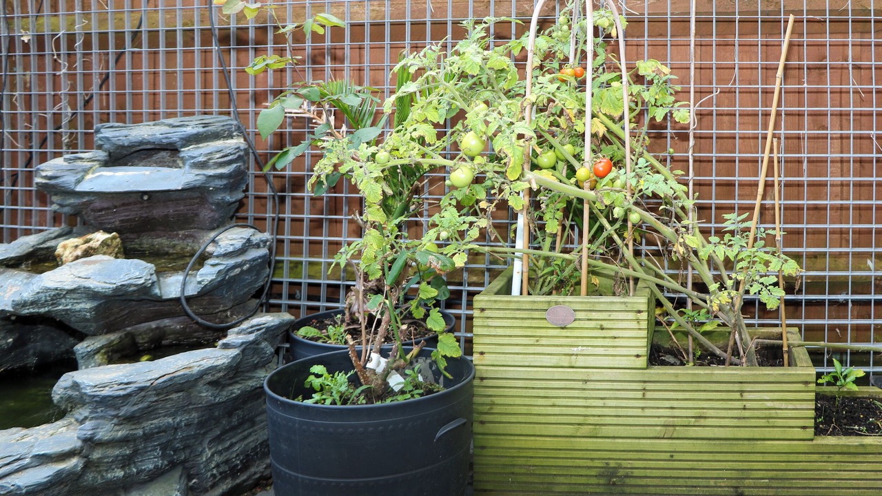 Photo of Outdoor in Seaford