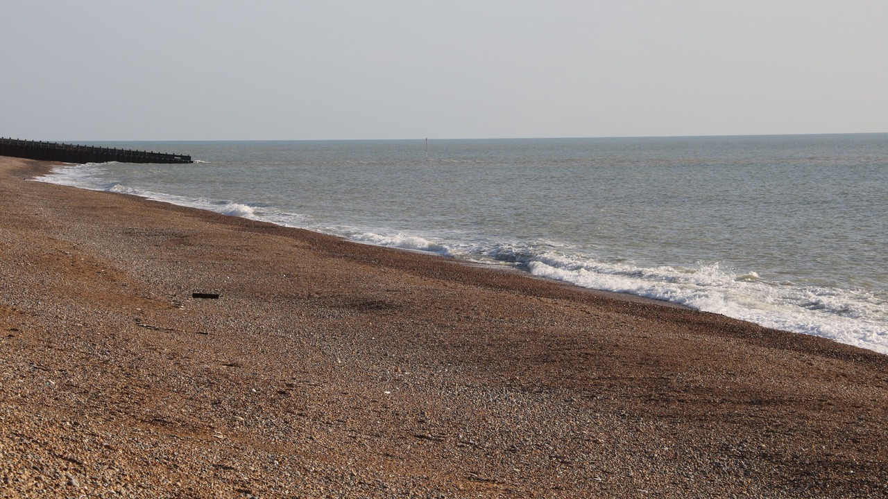 Photo of Others in Seaford