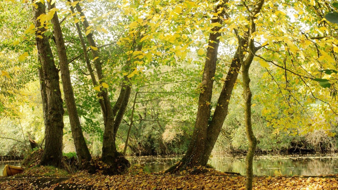 Photo of Outdoor in Herisson