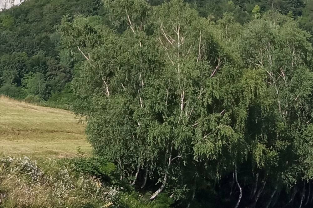 Photo of Outdoor in Fougax-et-Barrineuf
