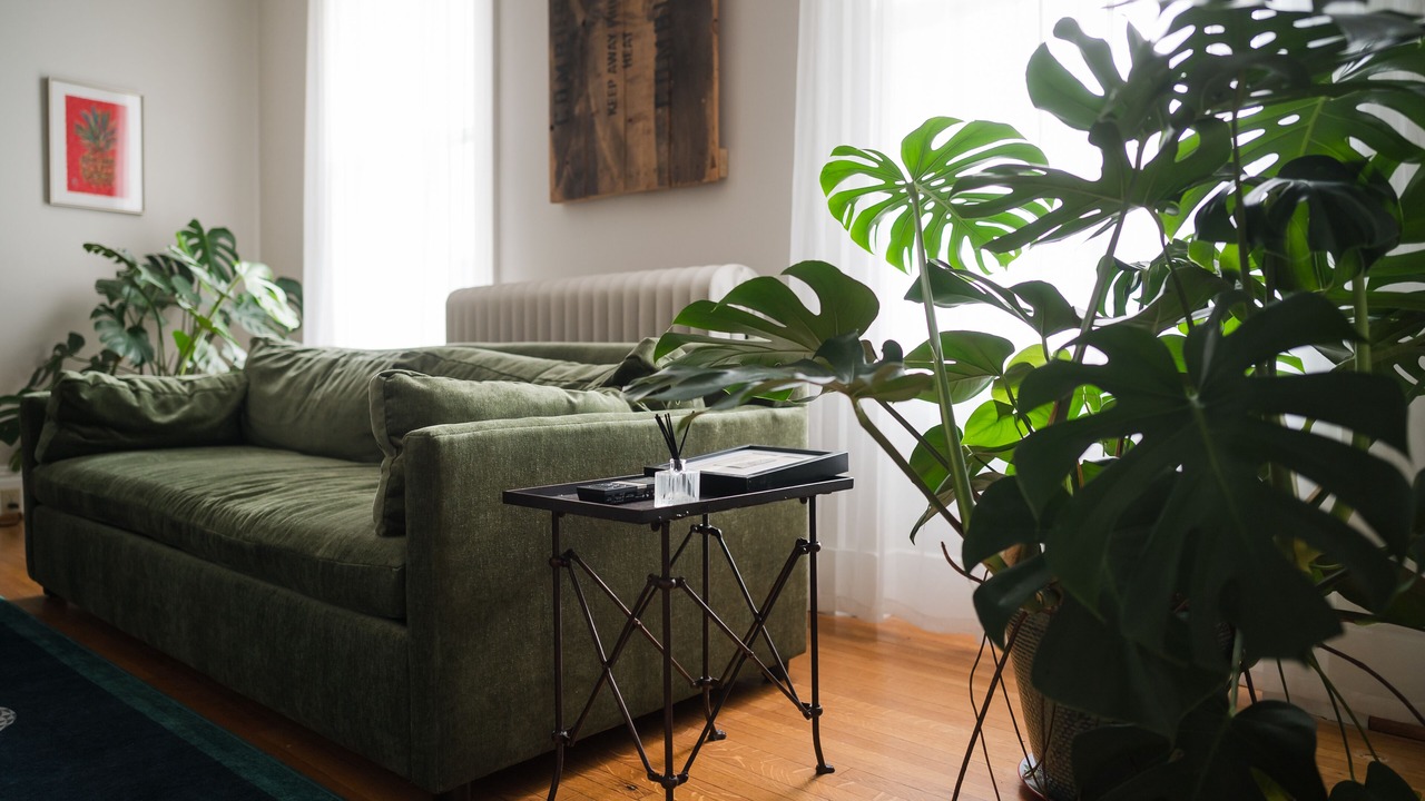 Photo of Others in Canandaigua