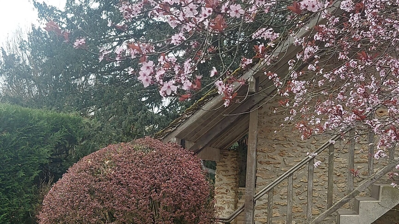 Photo of Outdoor in Grandchamp
