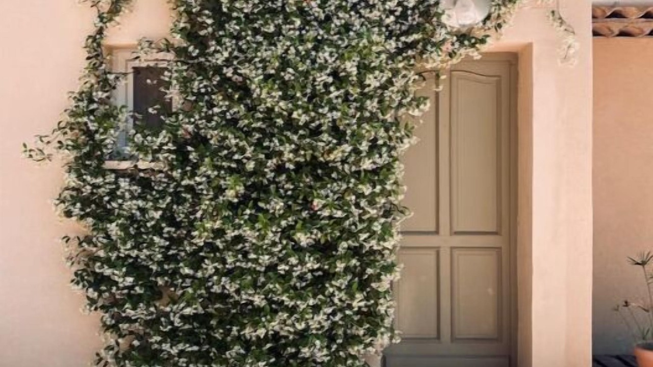 Photo of Others in Puyvert