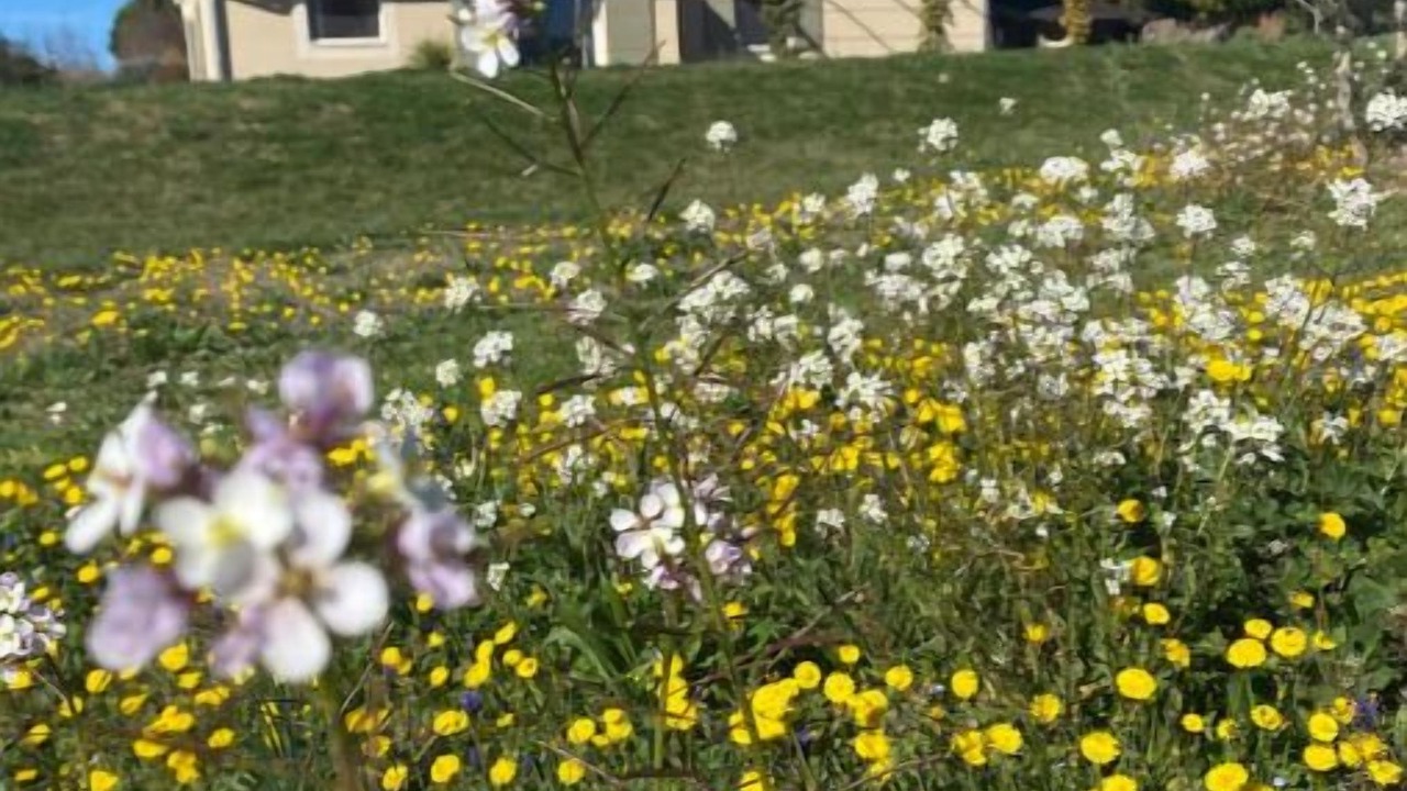 Photo of Outdoor in Puyvert