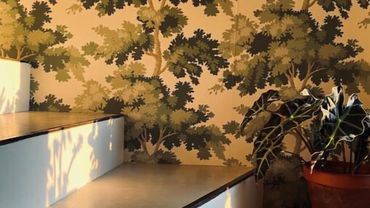 Photo of Others in Puyvert