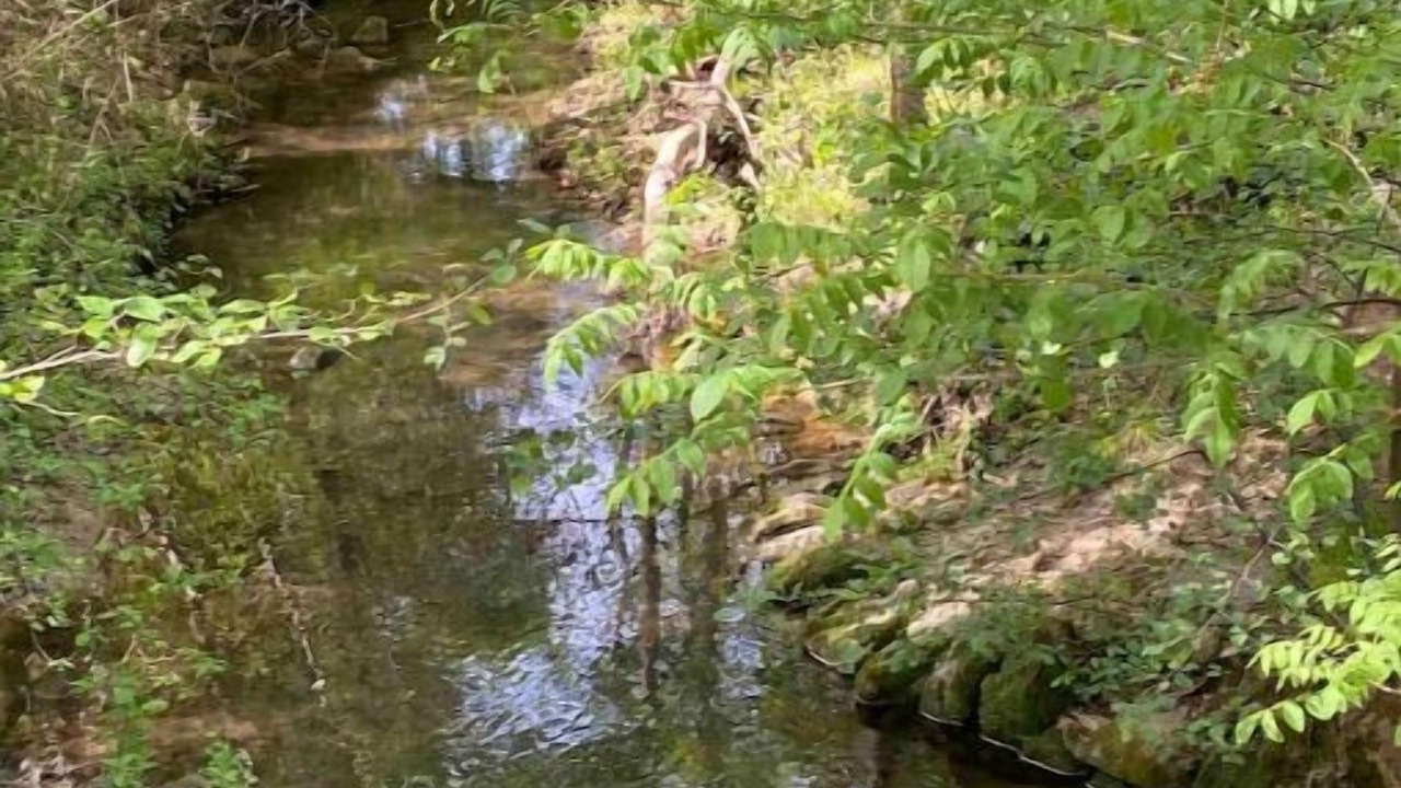 Photo of Outdoor in Puyvert