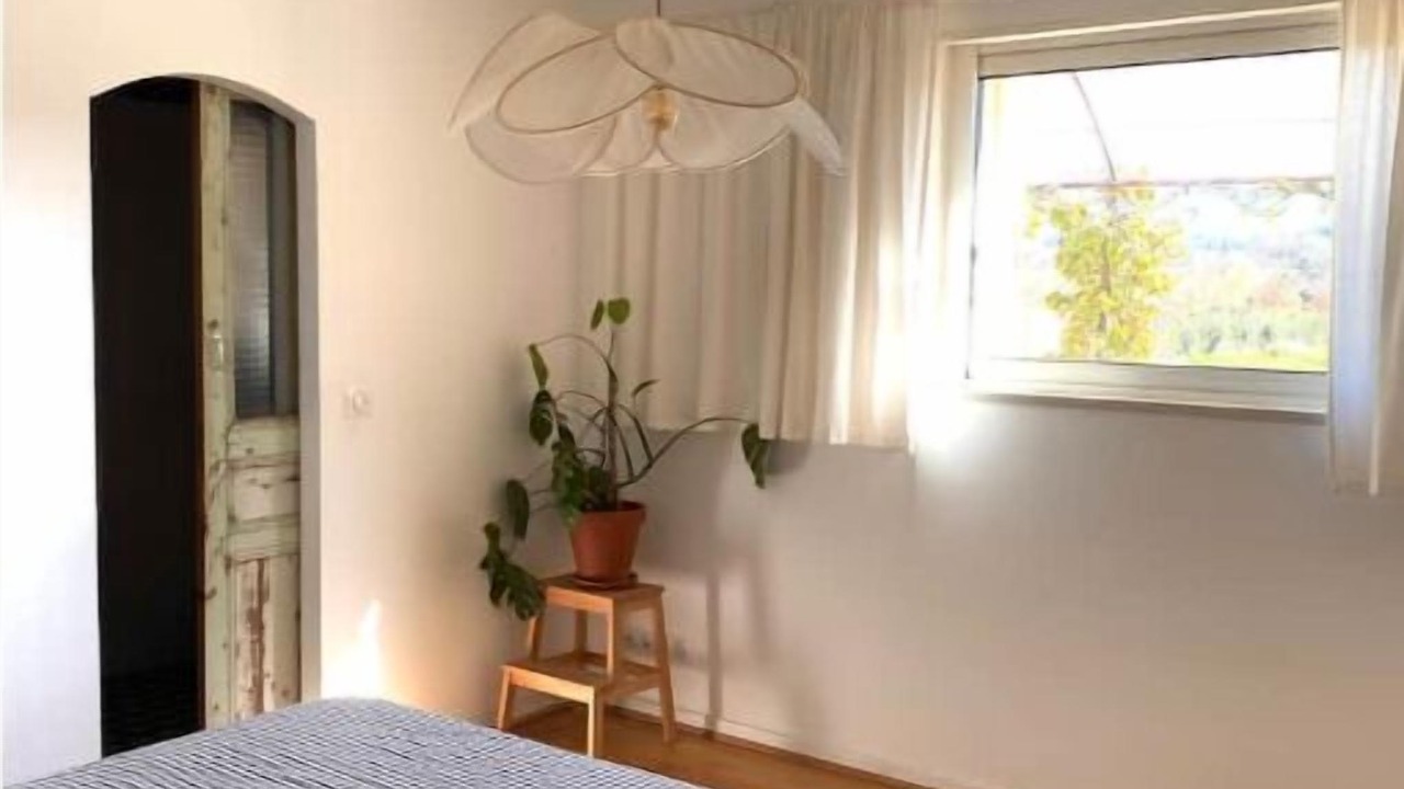 Photo of Others in Puyvert