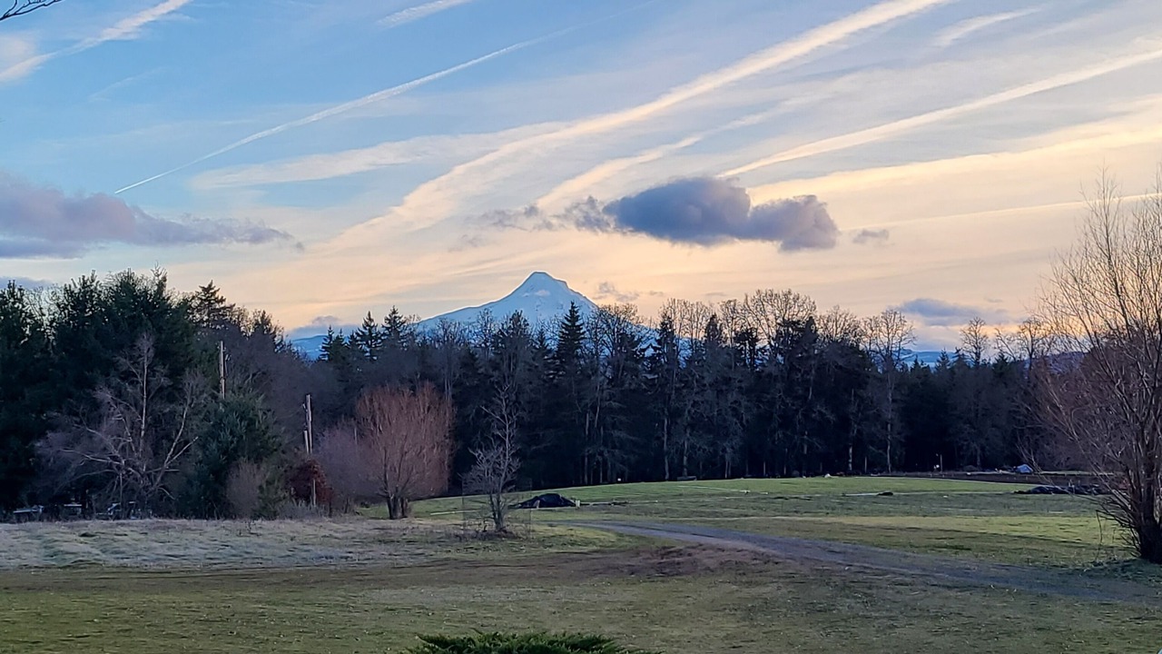 Photo of Others in Underwood