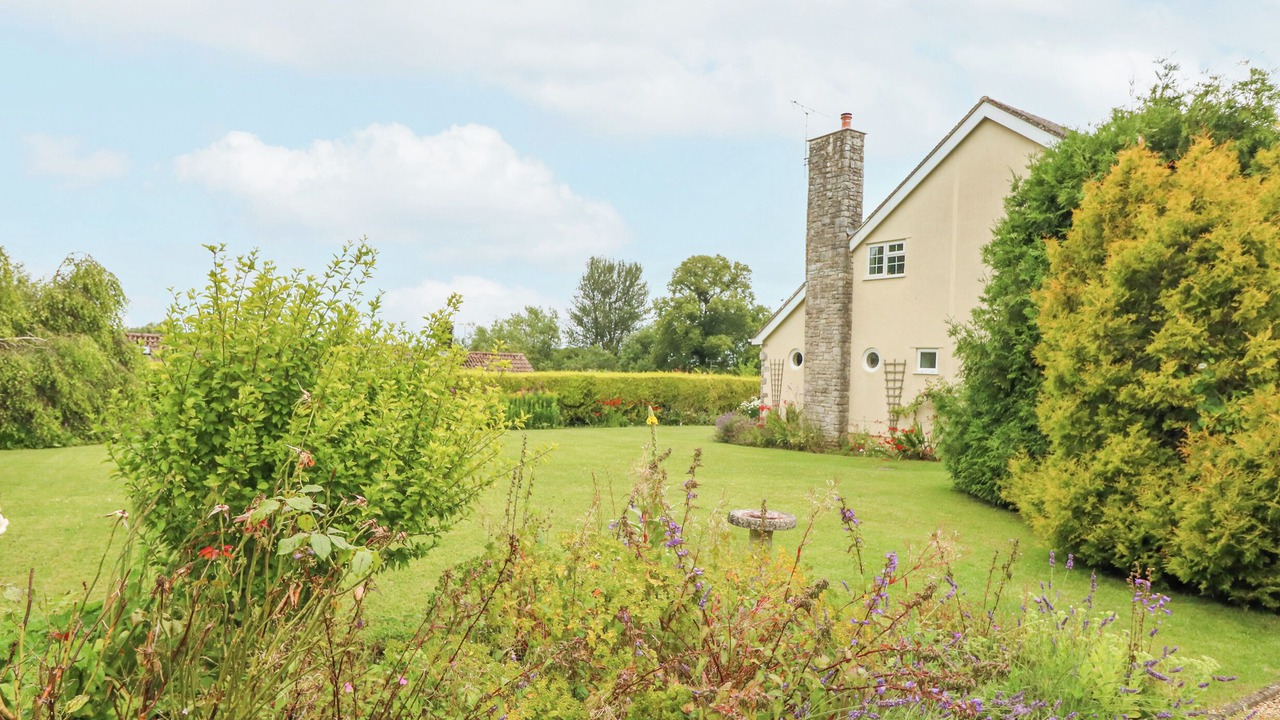 Photo of Others in Dorchester