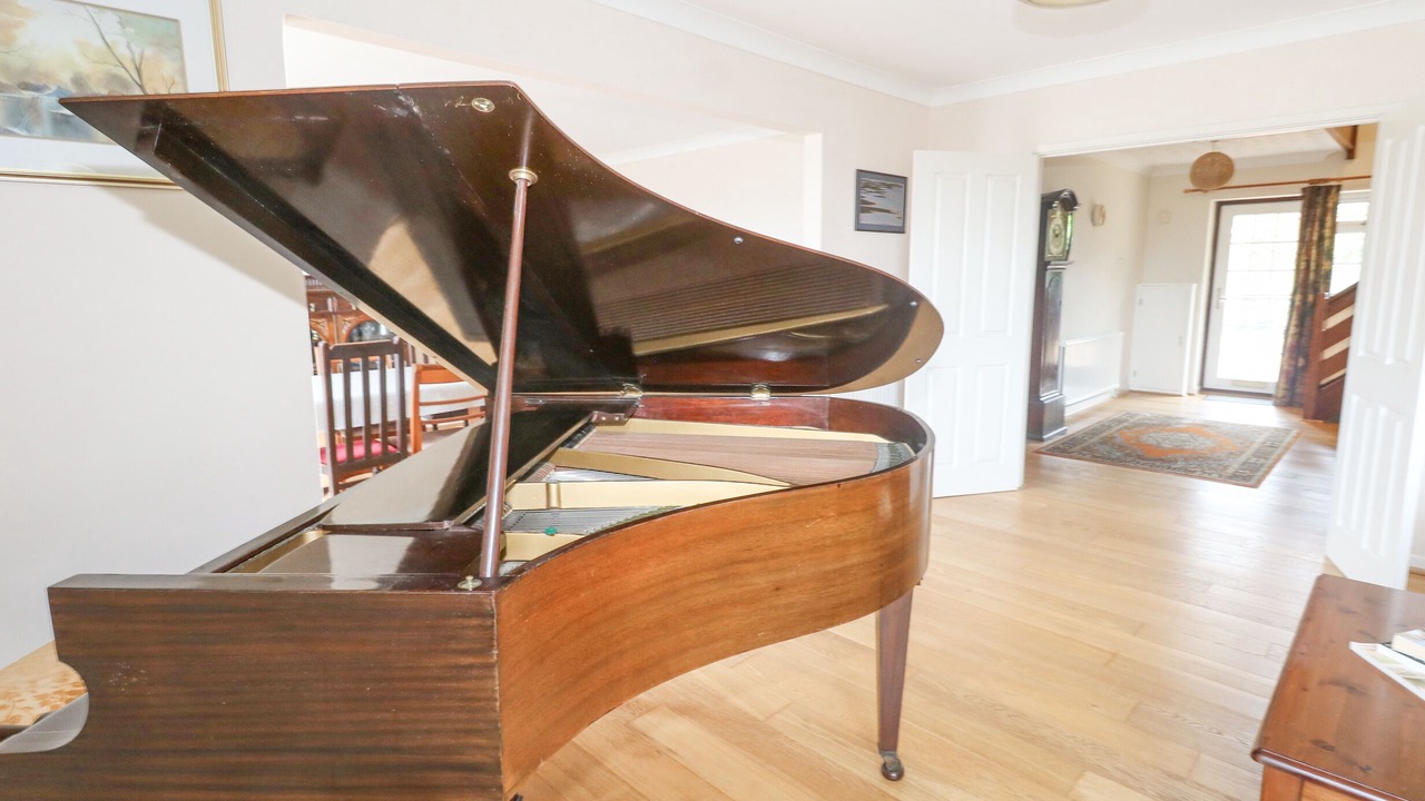 Photo of Others in Dorchester