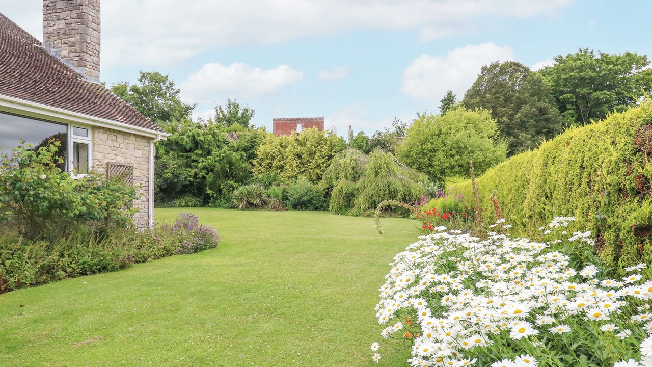 Photo of Others in Dorchester