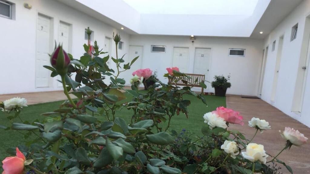 Photo of Others in Avenida Revolucion