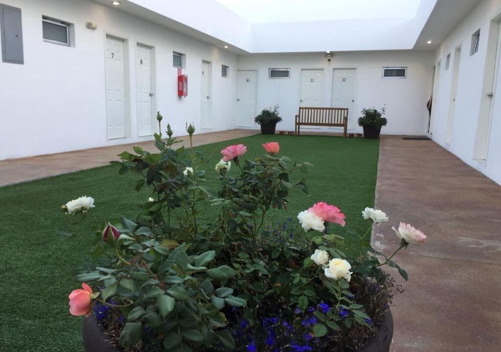 Photo of Outdoor in Avenida Revolucion