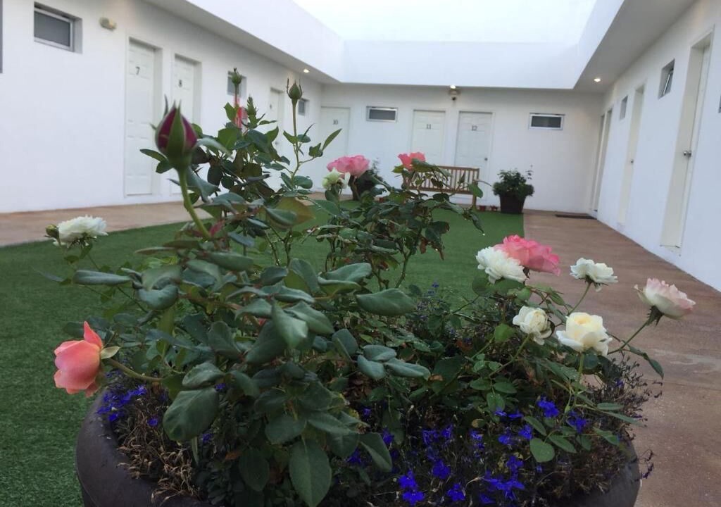 Photo of Outdoor in Avenida Revolucion