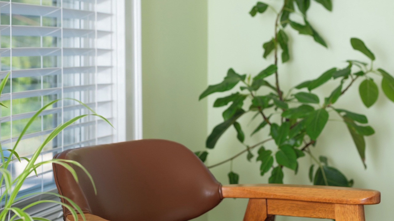 Photo of Bedroom in Plymouth