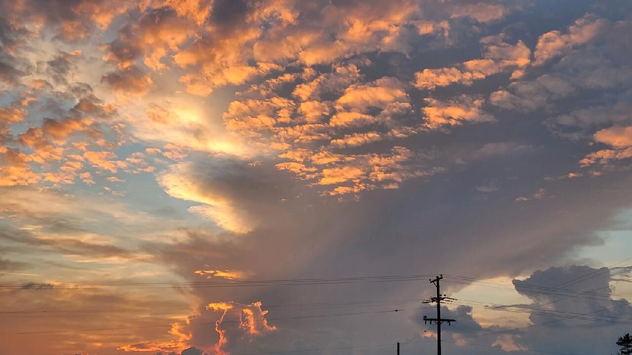 Photo of Others in Titusville