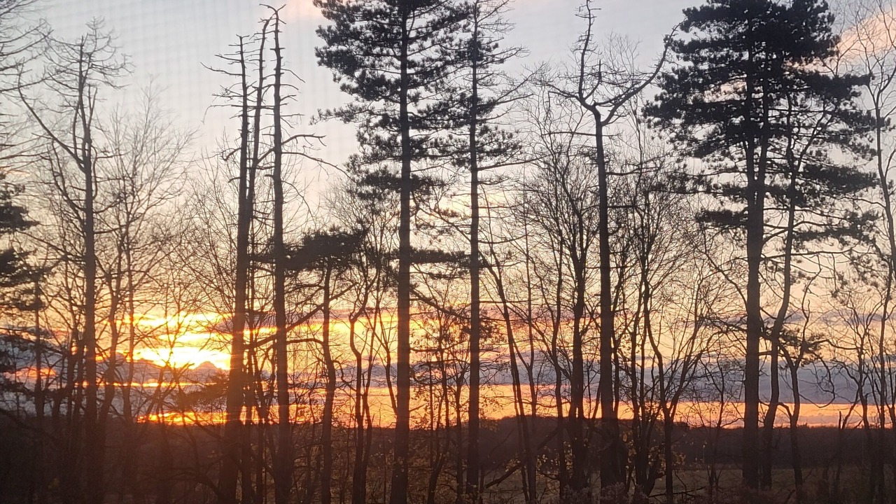 Photo of Outdoor in Titusville
